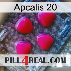 Apcalis 20 13